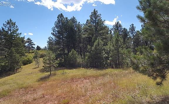 2nd image of 932 Yarnell Dr