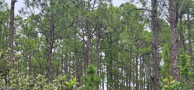 1st image of 27274 Green Gulf Blvd