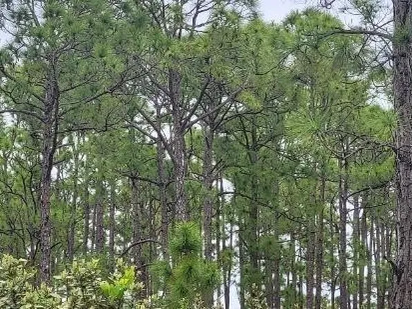 27274 Green Gulf Blvd, Punta Gorda, FL 33955