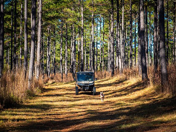 21st image of this home