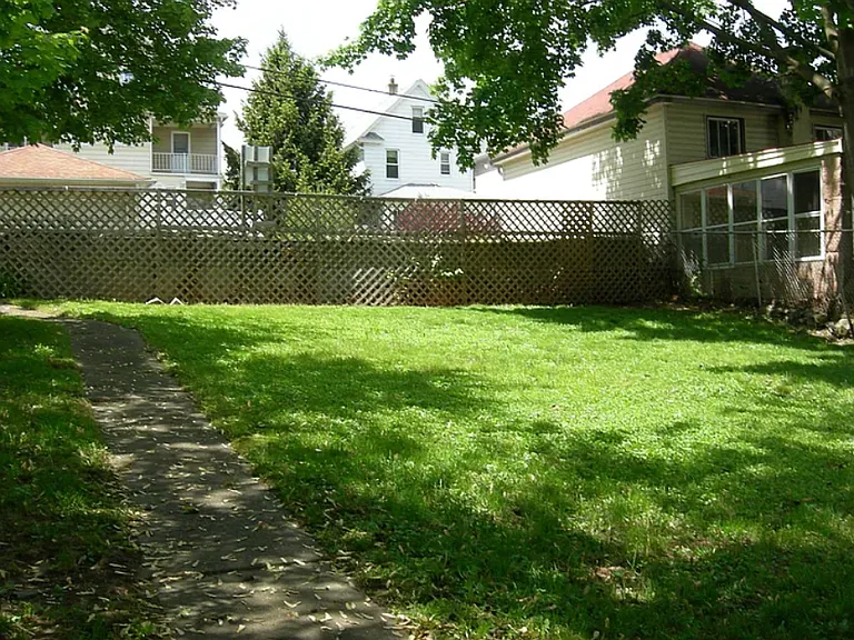 Shared back yard