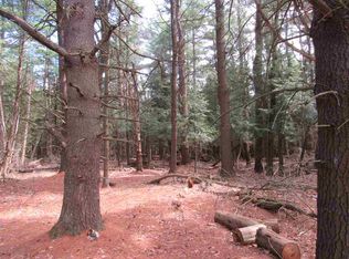 196 Austin Ridge Rd, Norwood, NY 13668