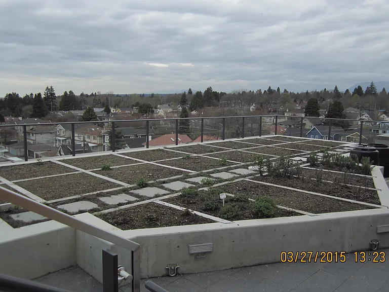 8588 Cornish St — Photo 11