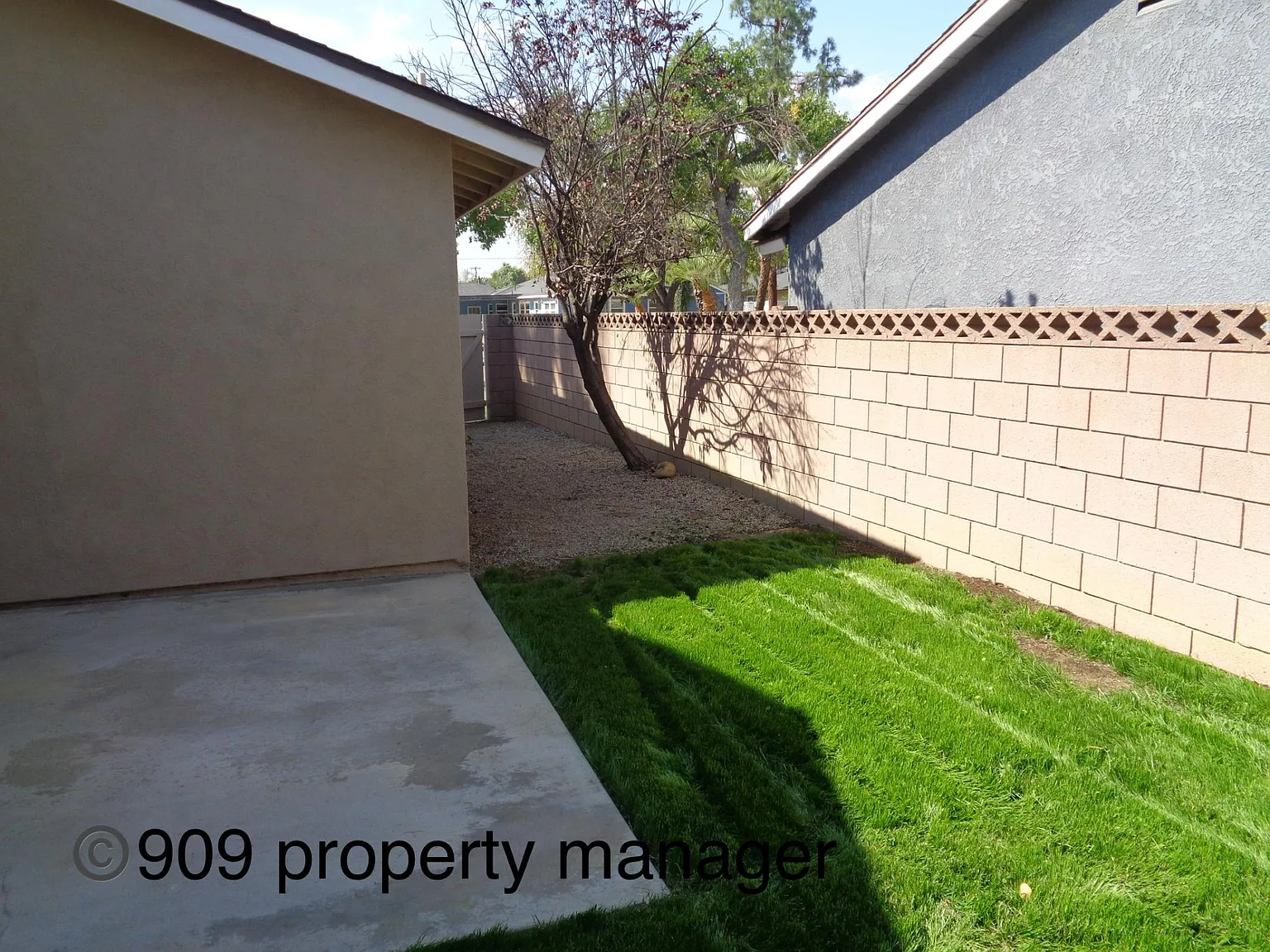 1338 Grove Ave — Photo 4