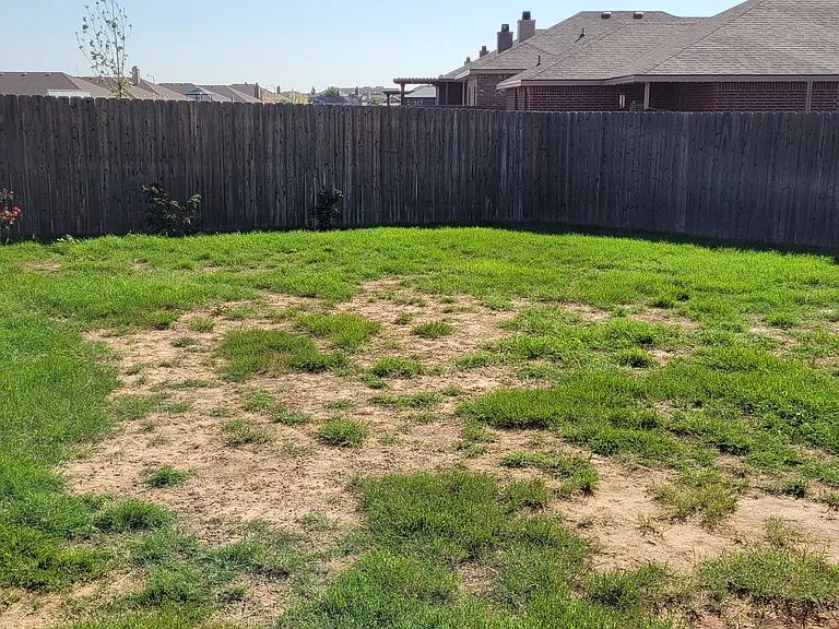 10113 Viola Ave — Photo 19