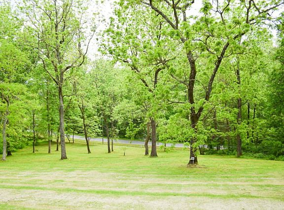 5th image of 123 Poplar Ct