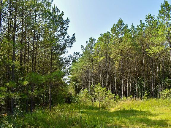 Compass South Land Sales Alabama Highway 122 05