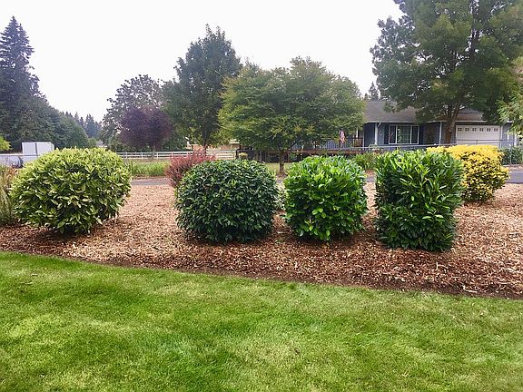 3rd image of 14103 NE 240th St