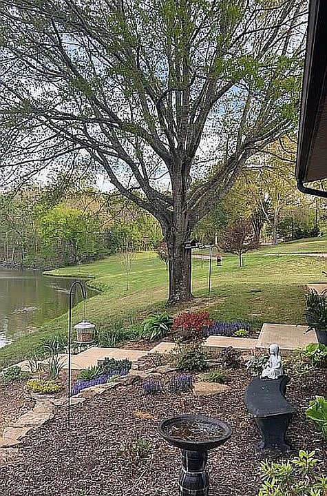 28th image of this home