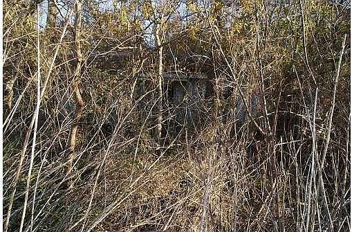 4th image of 8160 Welland St