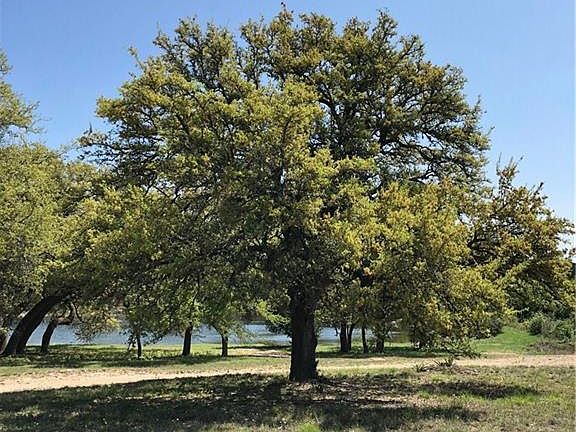 4th image of 125 Quiet Oak Cv