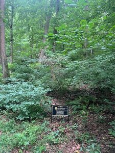 203 Rolling Fork Ct, Nashville, TN, 37205