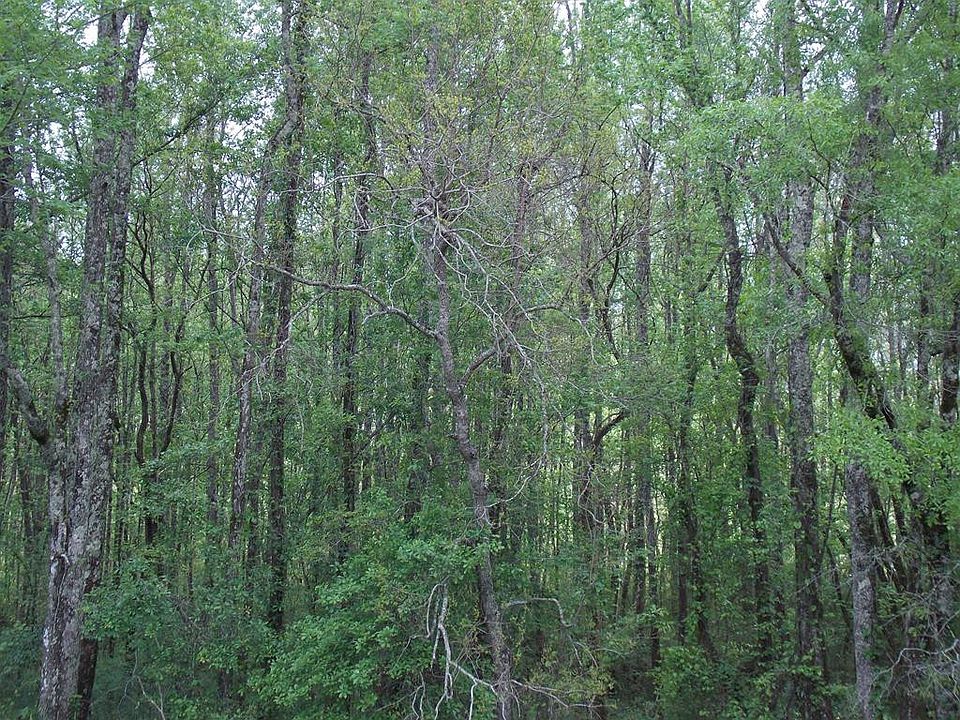 1st image of N/a Dogwood Dr