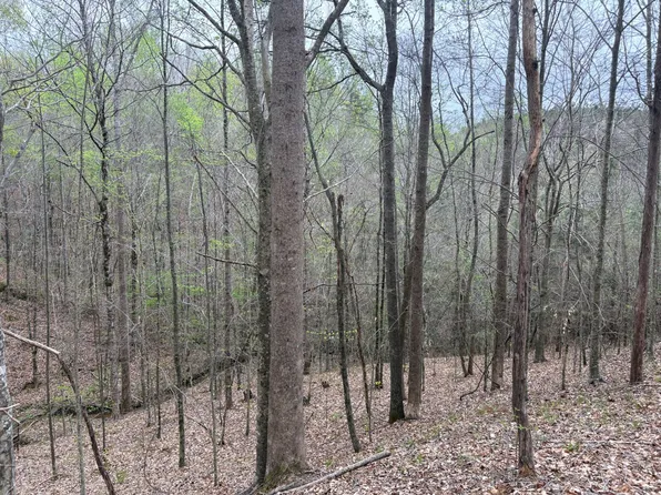 0 Highway 370, Dumas, MS 38625