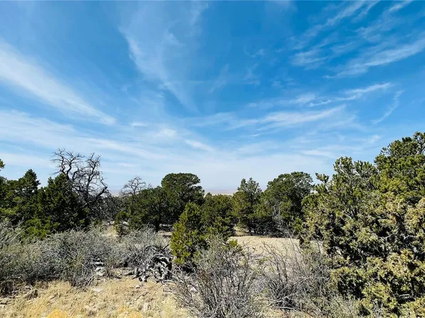 103 Arrowhead Lane LOT 13, Mosca, CO 81146