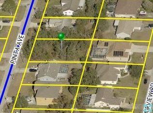 2194 Pinta Ave, Spring Hill, FL 34609