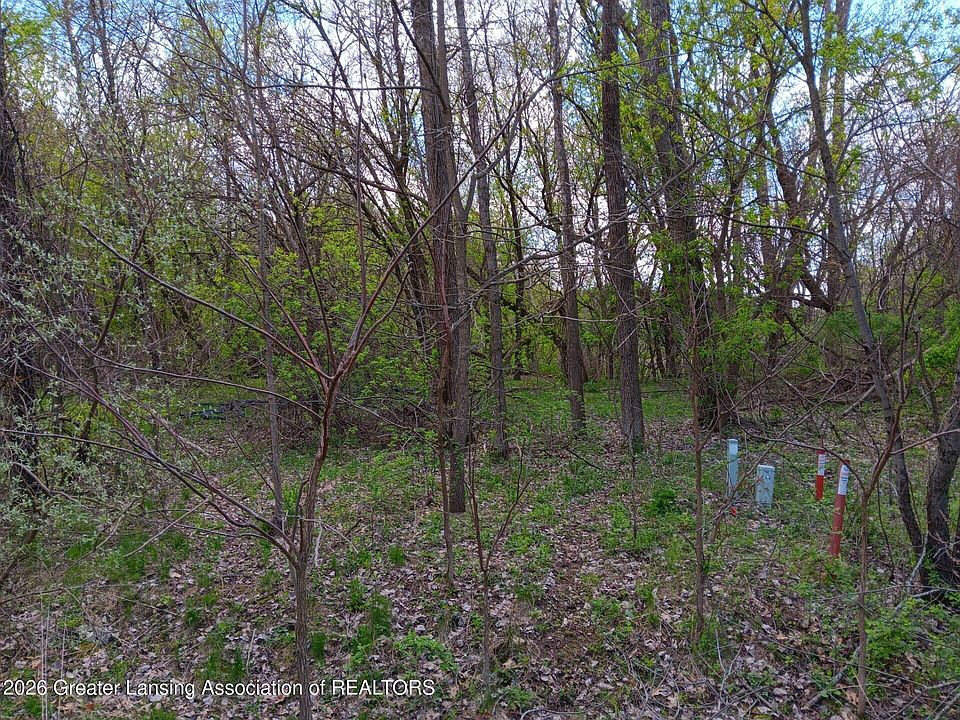 2nd image of 343 Dolores Dr