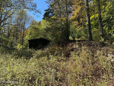 936 Stinking Creek Rd, La Follette, TN, 37766