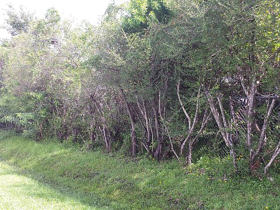 5th image of 14300 66th St N Lot 906