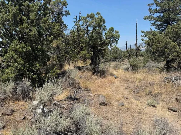 LOT 1 Feldman Rd, Montague, CA 96064