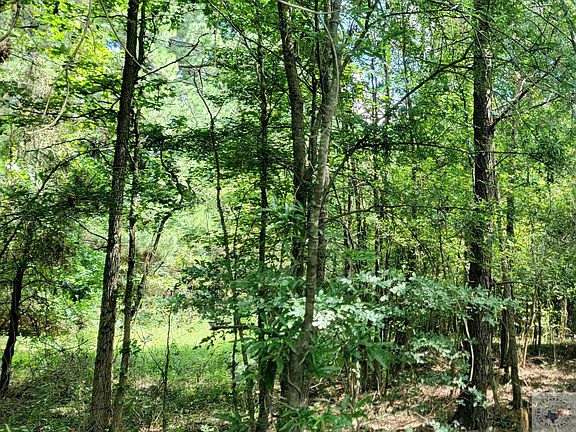 2nd image of County Road 3115n