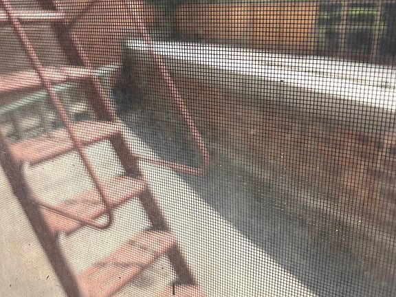 5th image of 5505 Woodside Ave APT 203
