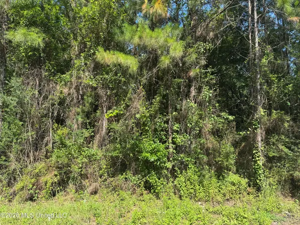 0 Schrader Ct Lot 198, Saucier, MS 39574