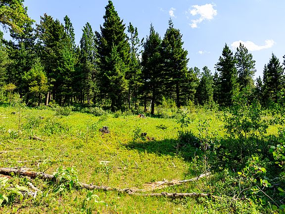 3rd image of Nhn Timber Creek Rd