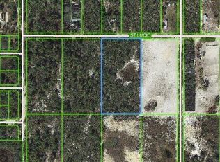 117 Saint Lucie St, Lake Placid, FL 33852