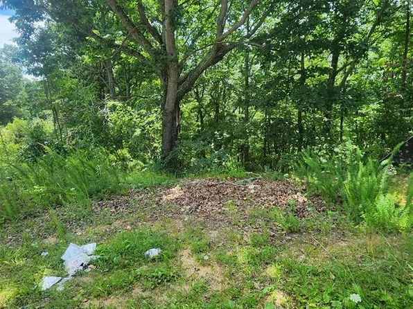 Id22 Dogwood Dr, Holladay, TN 38341