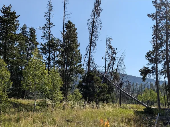 0 Halter Trl, Oak Creek, CO 80467