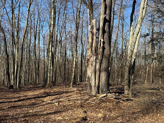 2nd image of Ash Gap Rd