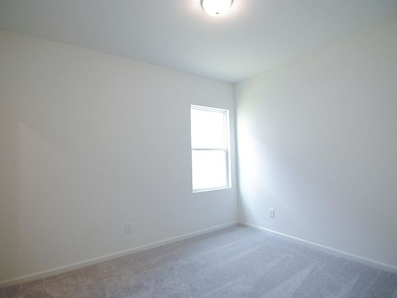 4th image of 1005 Lacebark Pine Ln