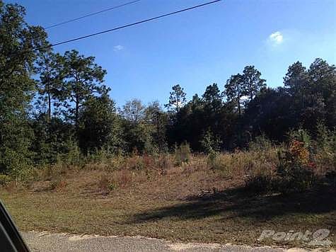 5th image of 6239 Audubon Dr
