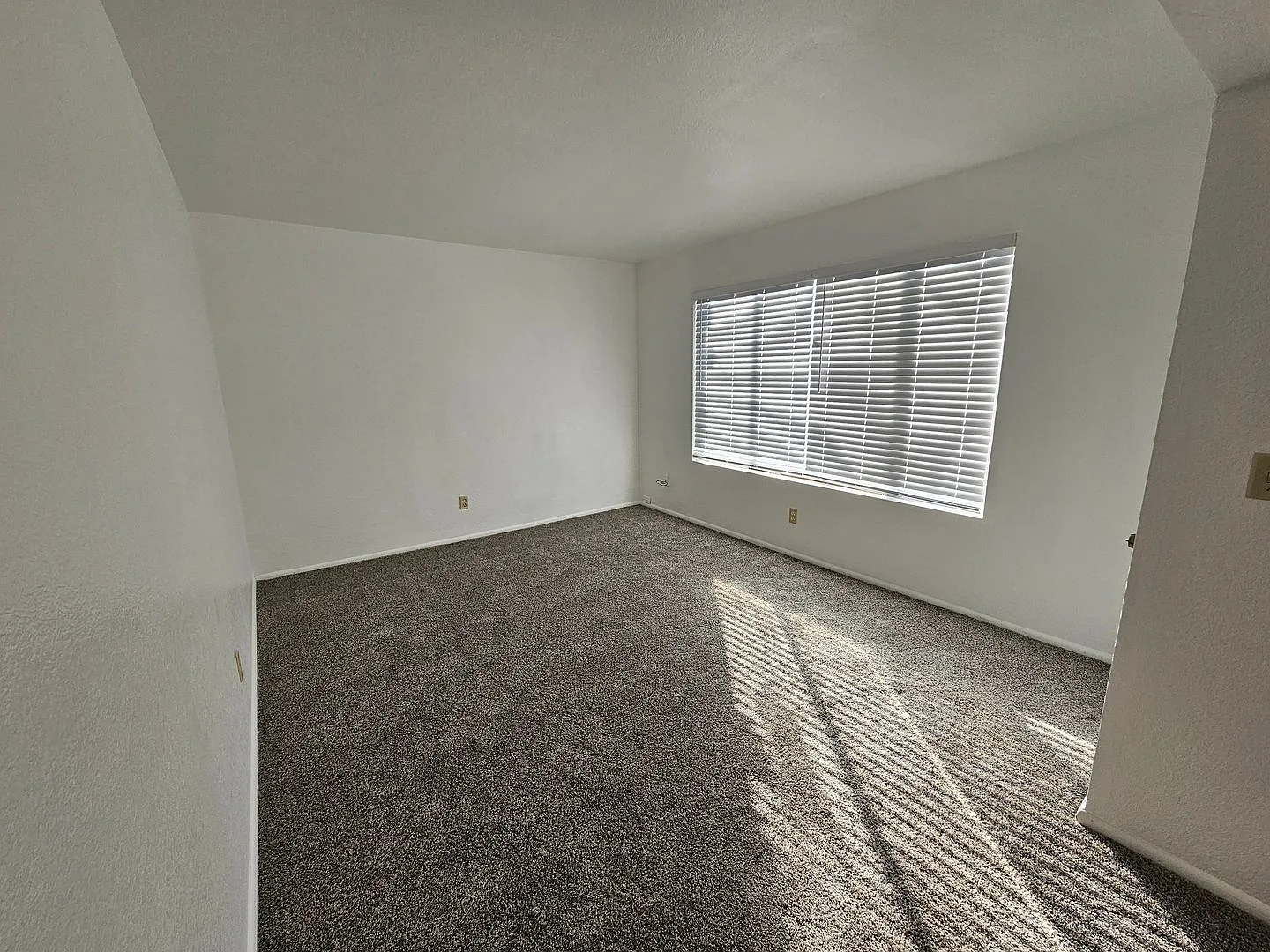3365 Scottsdale Road — Photo 4