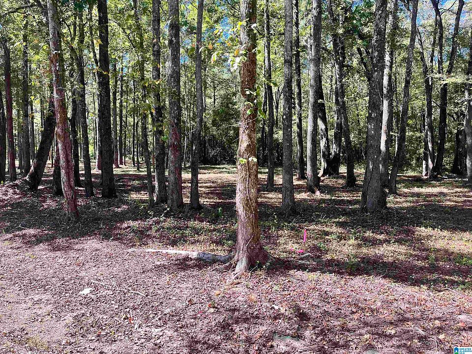 2nd image of 1631 Wolf Creek Rd N #2
