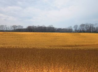 1236 W Sycamore St, Carmi, IL 62821