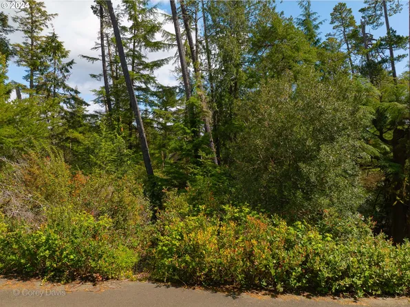 19th St #1603, Manzanita, OR 97130