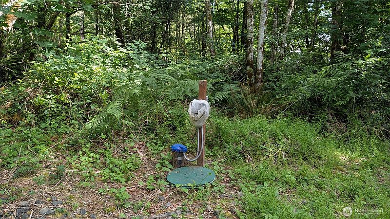4th image of 1629 148th Avenue SW