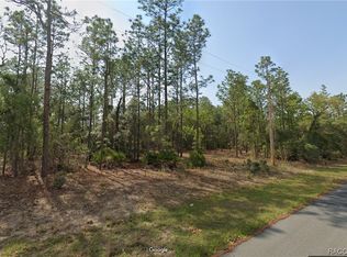 11064 N Trigger Ter, Citrus Springs, FL 34433