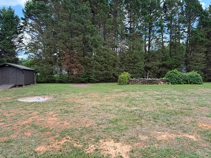 153 White Tail Ct — Photo 12