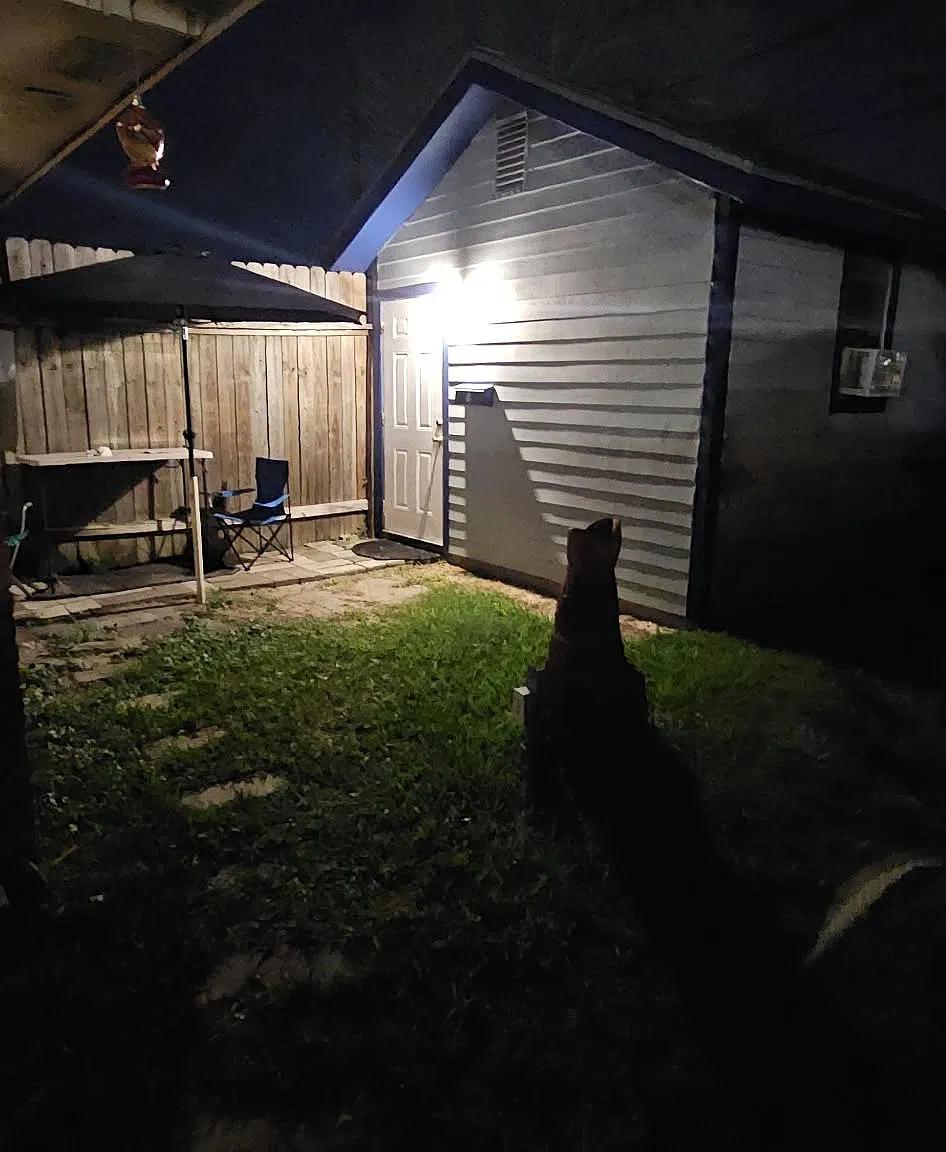 1 bed, 256 sqft, $650 — Photo 1