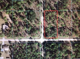 0 SW 78th Pl #1, Dunnellon, FL 34432