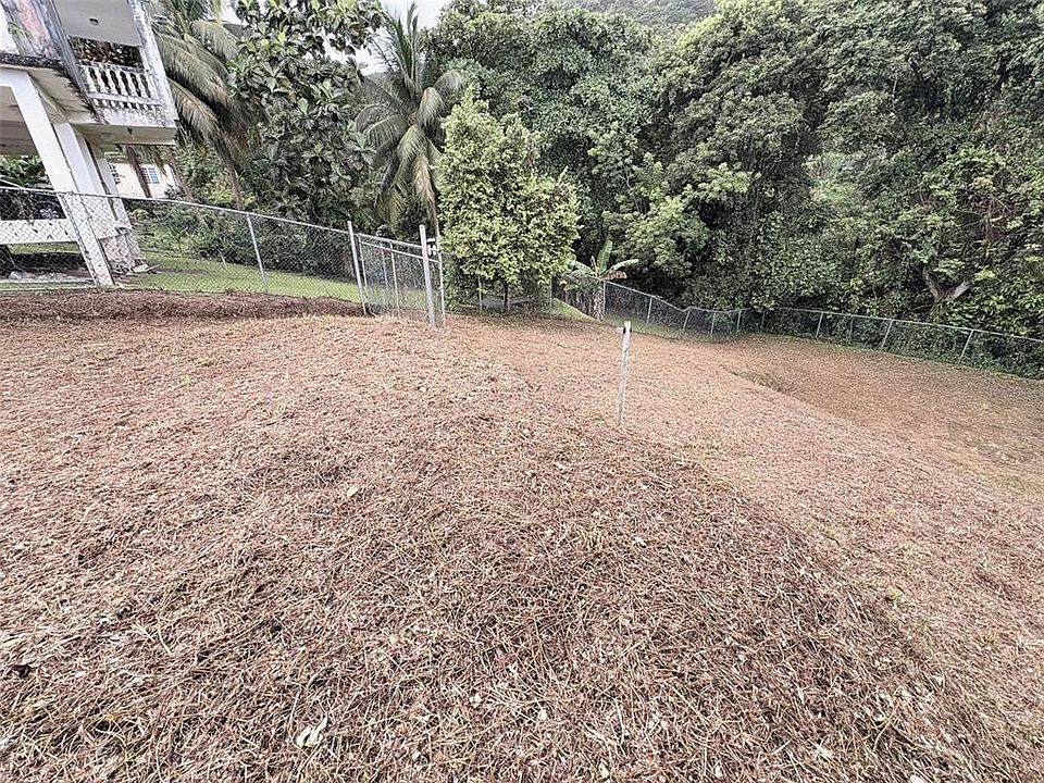 1st image of Bo Pitahaya