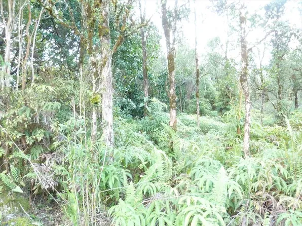 11-3303 Lehua St Lot 7059, Hilo, HI 96720