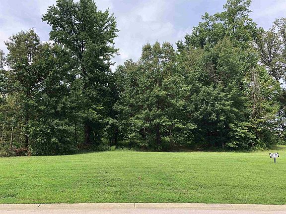 4th image of 530 Whitetail Ct #28