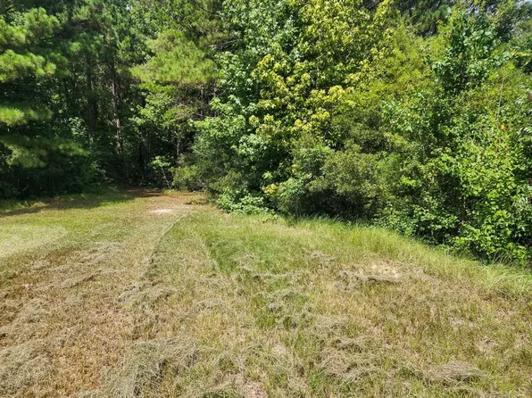 216 Private Road 6046, Burkeville, TX 75932
