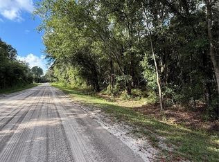 1166 Honeytree St LOT 25, Bunnell, FL 32110
