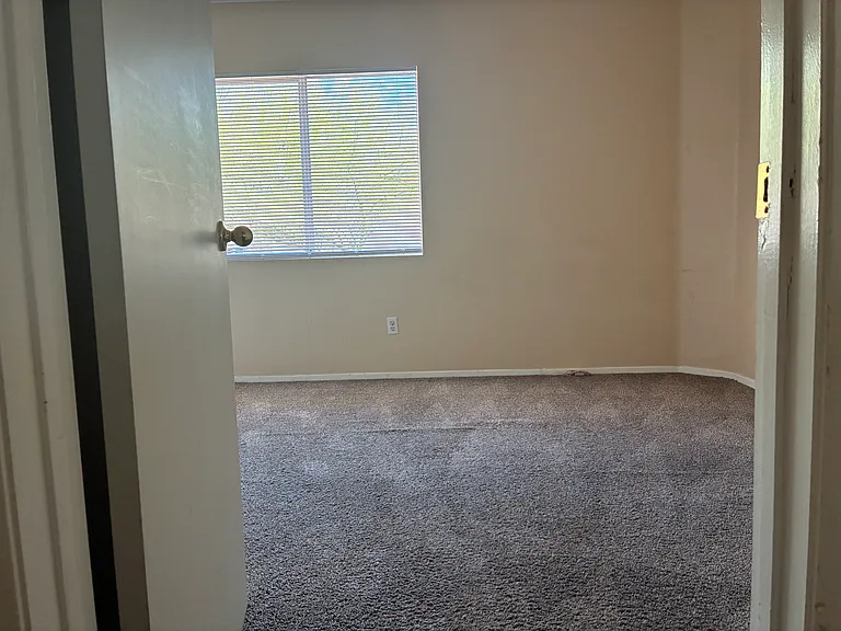 3001 Johannan Ln — Photo 9