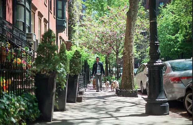 Rented by Compass | media 36